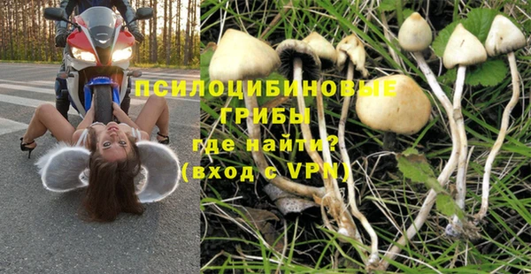 амф Балахна