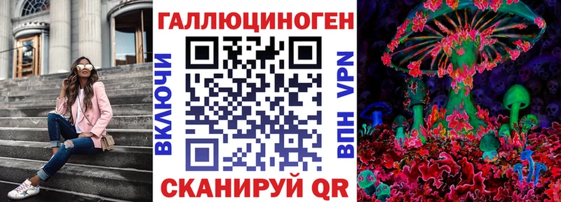 Галлюциногенные грибы Psilocybine cubensis  Электросталь 